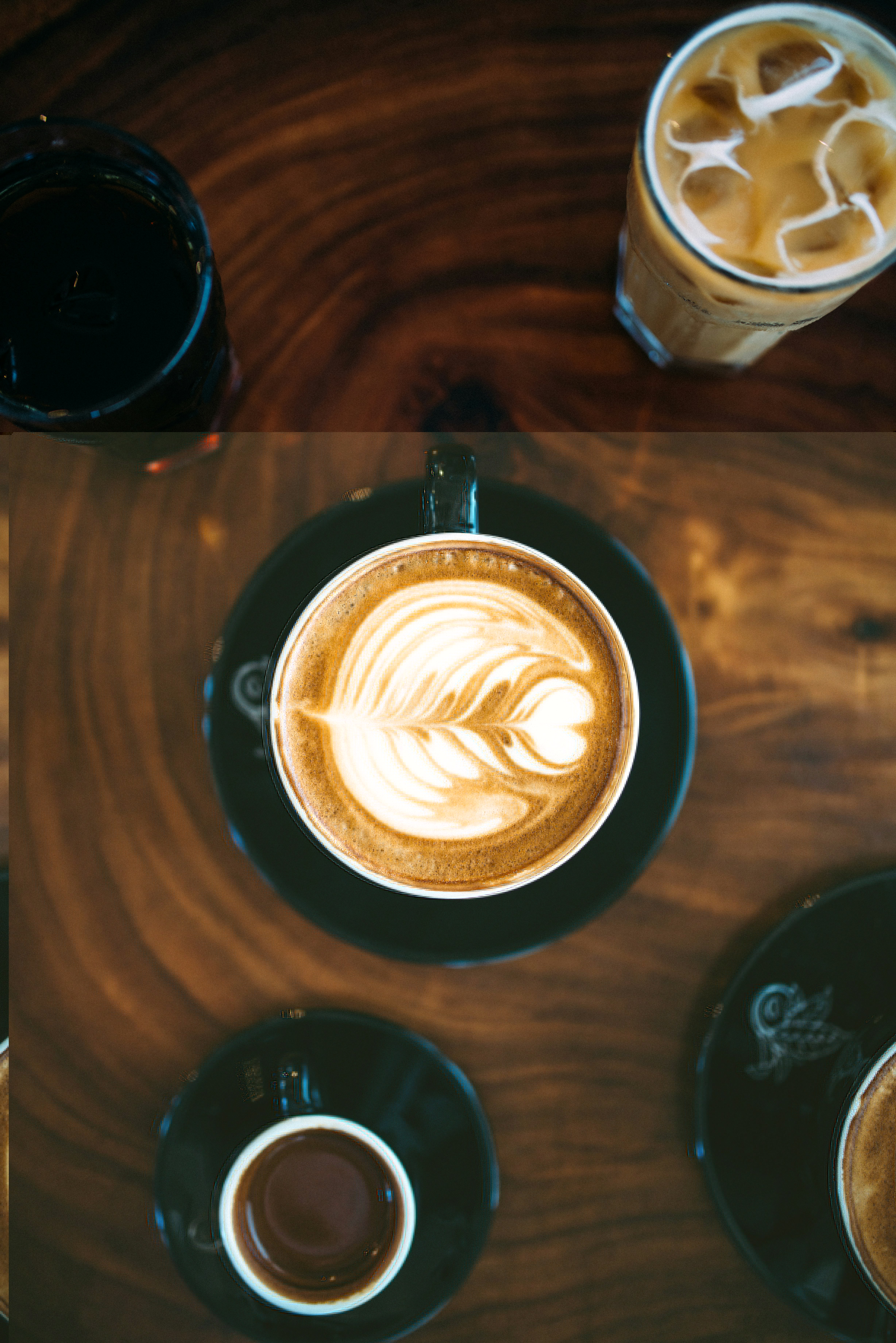 Coffee education materials